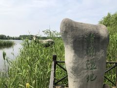 -溱湖国家湿地公园