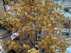 -姐弟俩土豆粉(西安小寨店)