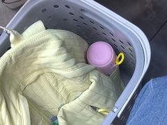 -百年老字号·观振兴蟹黄面·三虾面·苏式面(观前街富仁坊巷店)