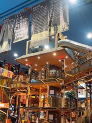 -卡通尼·Safari非洲探索乐园·生日会(金桥国际商业广场店)