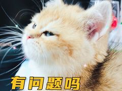 -布歌东京(清河万象汇店)