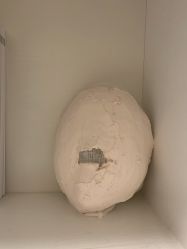 -壹良質サロン