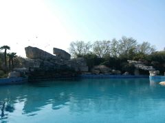 -金孔雀温泉旅游度假村