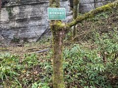 -山王坪喀斯特国家生态公园