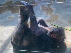 -石家庄市动物园