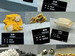 -甘肃地质博物馆