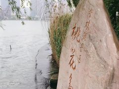 -金鸡湖桃花岛