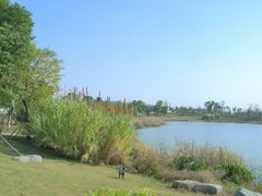 -尚贤河湿地
