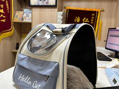-恒幸动物医院·急重症转诊中心·神经内外科·CT核磁