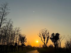 -上海滨江森林公园