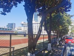 -杭州市陈经纶体育学校
