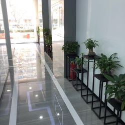 -痘博士天津·全国连锁祛痘机构