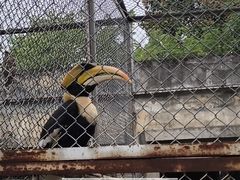-合肥野生动物园