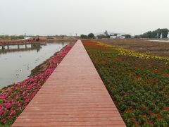 -润记农家菜