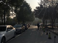 -上海中医药大学附属曙光医院(东部)