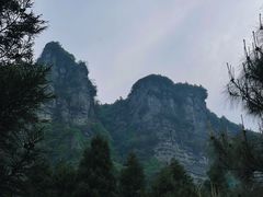 -重庆睡佛山森林公园