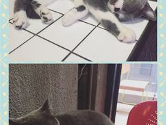 -MIKAKU(万达广场上海宝山店)