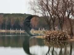 -昆山城市生态森林公园