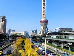 -陆家嘴中心绿地