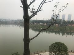 -枫香湖儿童公园