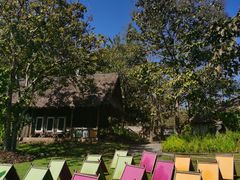 -大象粑粑造纸公园