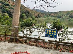 -风云岭森林公园