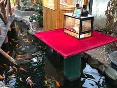 -上海大自然野生昆虫馆(东方明珠·爬宠昆虫探索中心)