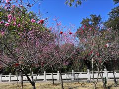 -船政文化景区-罗星塔公园