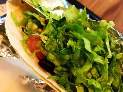 -油梨树 AVOCADO TREE(亮马桥店)