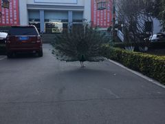 -西昌邛海宾馆