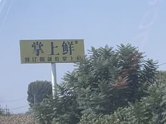 -掌上鲜(南顺城街店)