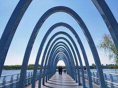 -大兴滨河森林公园