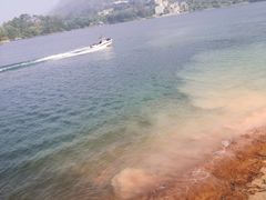 -广州市流溪河国家森林公园