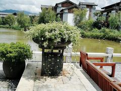 -丽江金茂凯悦臻选酒店-滇香馆