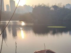 -重庆彩云湖湿地公园