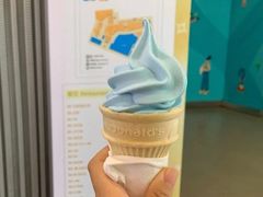 海盐椰子风味圆筒-麦当劳(一德路店)