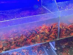 -虾铺子龙虾·私房菜(金源花苑店)