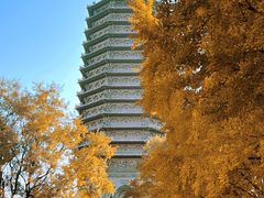 -玲珑塔公园