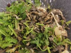 -清真•蜀风园(丁字沽总店)