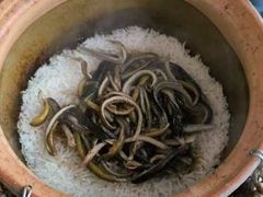 -顺德·古草食记(长寿店)