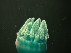 -欢乐海岸海洋奇梦馆