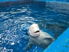 -石林冰雪海洋世界