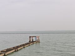 -贡湖湾湿地公园