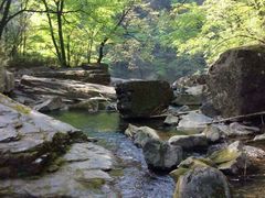 android_upload_pic-黎坪国家森林公园