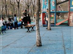 -草根堂农场