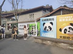 -都江堰中华大熊猫苑