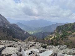 -朱雀国家森林公园