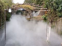 -天怡·鱼工厂(临江店)