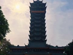 -塔子山公园