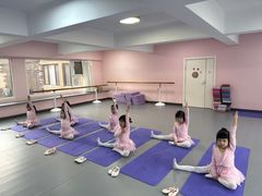 -蒲公英舞蹈艺术中心(促进路校区)